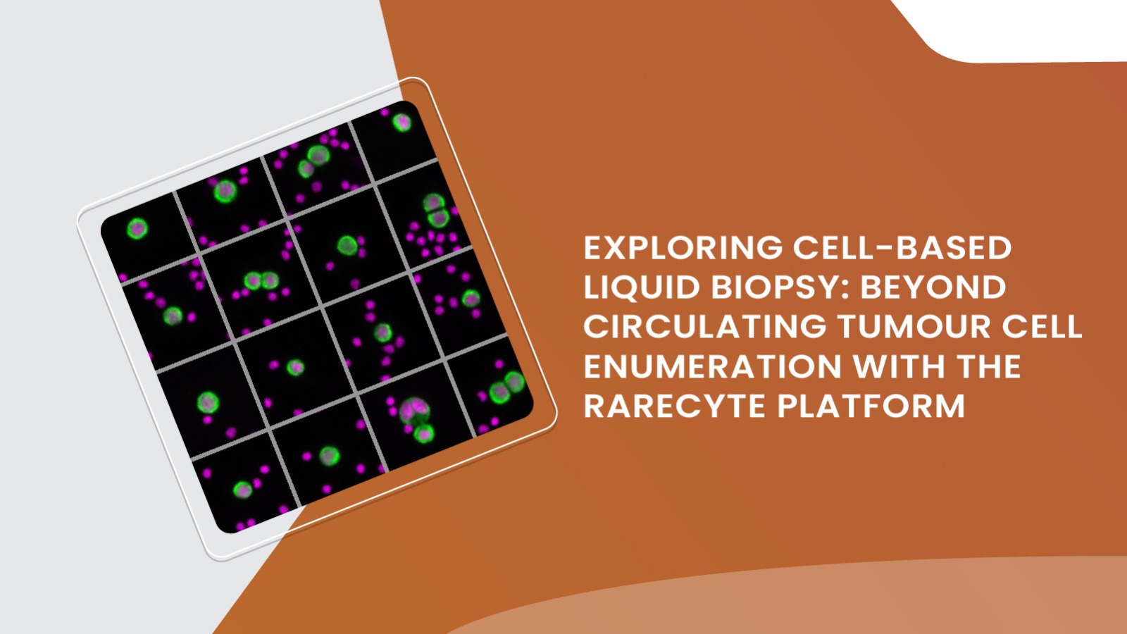 Exploring Cell-Based Liquid Biopsy: Beyond Circulating Tumour Cell Enumeration with the RareCyte Platform