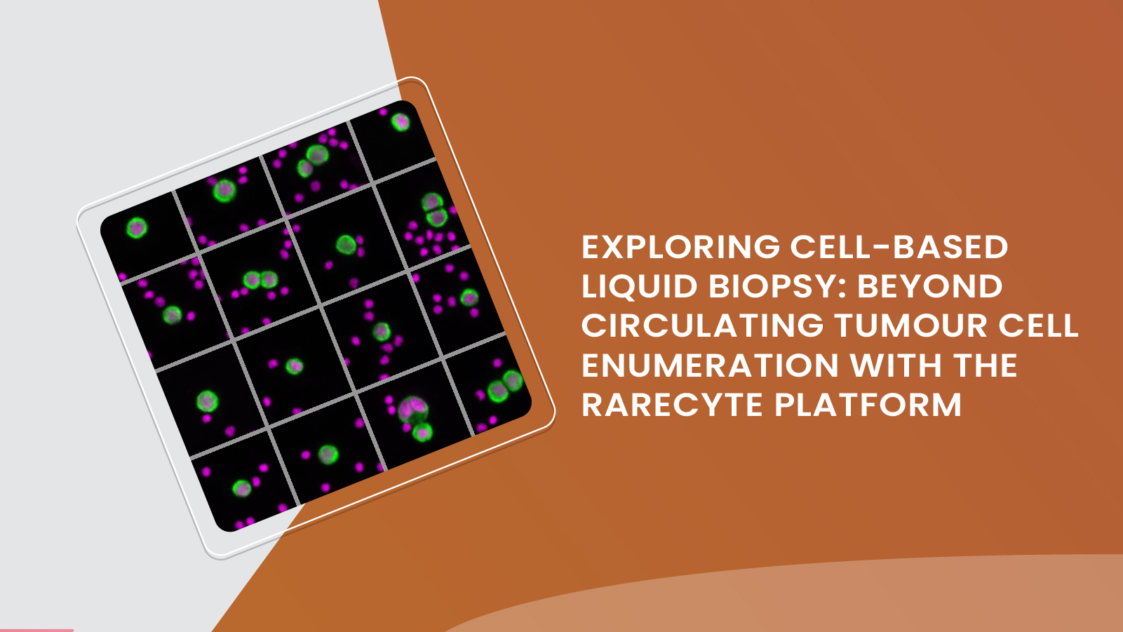 Exploring Cell-Based Liquid Biopsy: Beyond Circulating Tumour Cell Enumeration with the RareCyte Platform